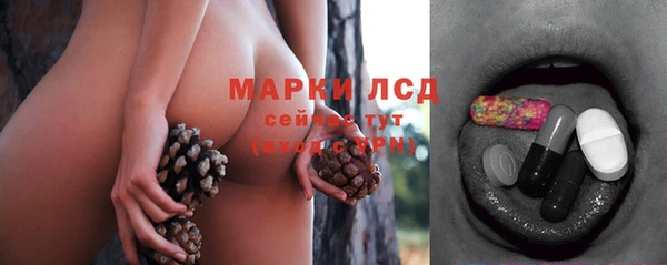 твердый Дмитриев