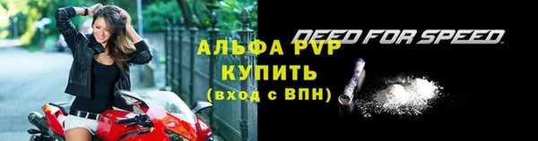 хмурый Дмитровск