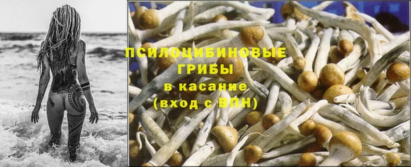 твердый Дмитриев